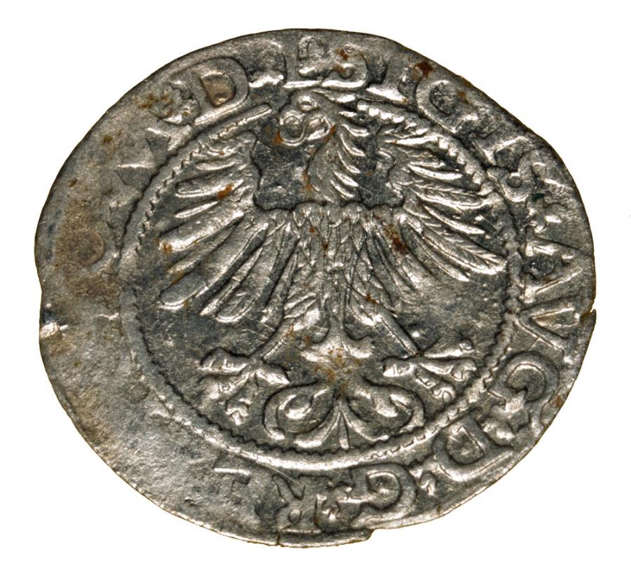 Półgrosz 1565 Zygmunt II August Wilno