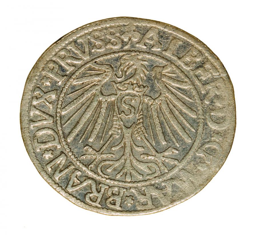Grosz 1542 Albrecht Hohenzollern Księstwo Pruskie Królewiec