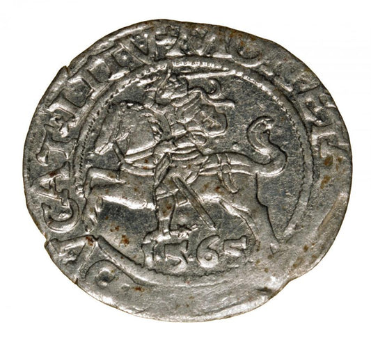 Półgrosz 1565 Zygmunt II August Wilno