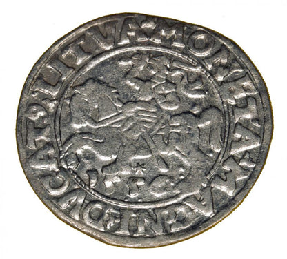 Półgrosz 1556 Zygmunt II August Wilno