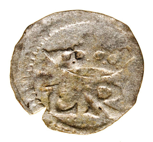 Halerz 1522-23 Ludwik I Jagiellończyk Wrocław