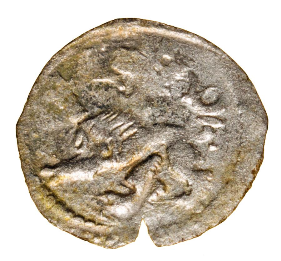 Halerz 1522-23 Ludwik I Jagiellończyk Wrocław