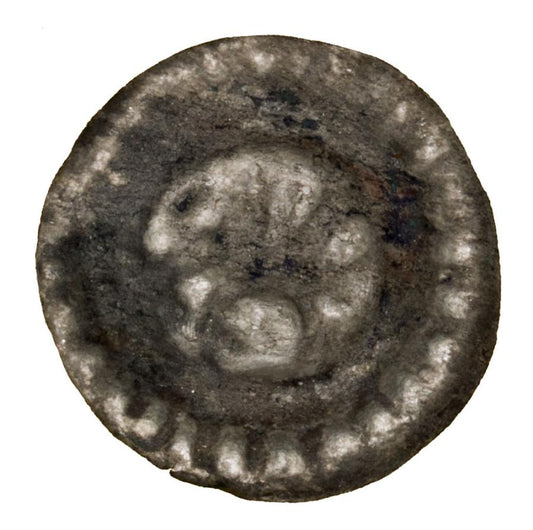 Brakteat 1233-1269 Gryf Sambor II Pomorze Gdańskie