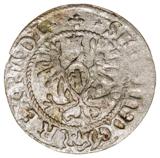 Pуlgrosz 1620 Zygmunt III Waza Polska Bydgoszcz